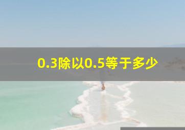 0.3除以0.5等于多少