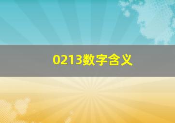 0213数字含义