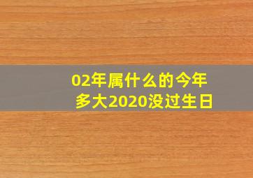 02年属什么的今年多大2020没过生日