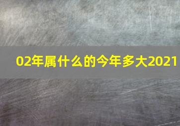 02年属什么的今年多大2021