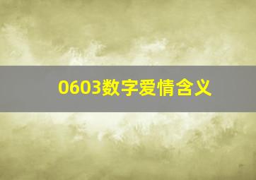 0603数字爱情含义