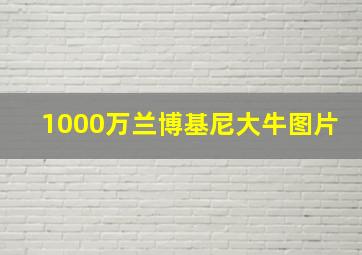 1000万兰博基尼大牛图片