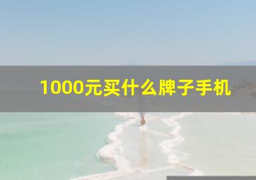 1000元买什么牌子手机