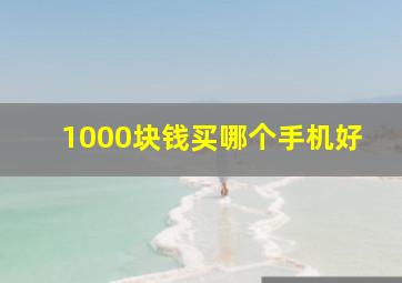 1000块钱买哪个手机好