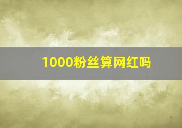 1000粉丝算网红吗