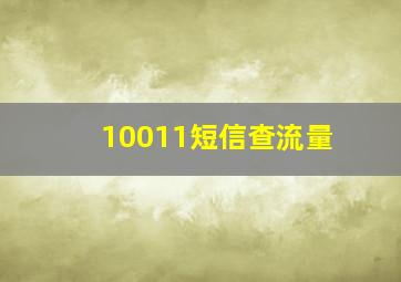 10011短信查流量