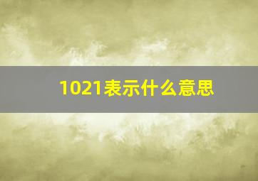 1021表示什么意思