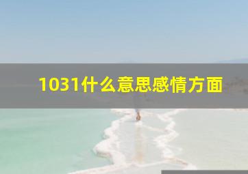 1031什么意思感情方面