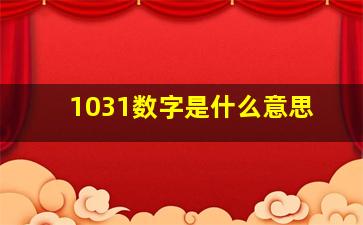 1031数字是什么意思