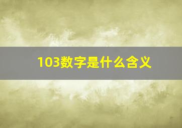 103数字是什么含义