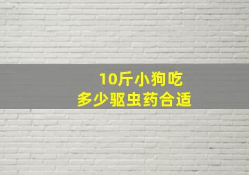 10斤小狗吃多少驱虫药合适