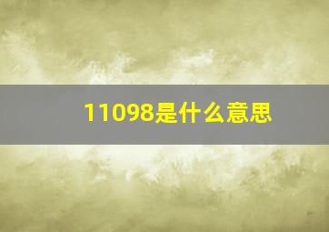 11098是什么意思