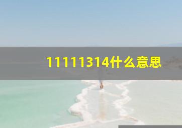 11111314什么意思