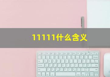 11111什么含义