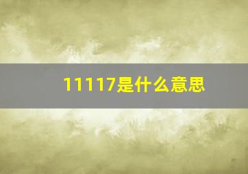 11117是什么意思