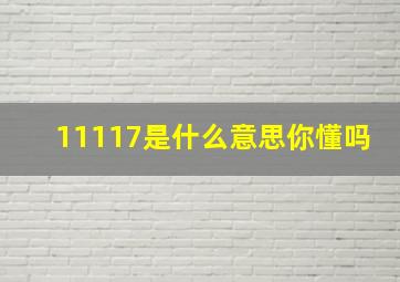 11117是什么意思你懂吗