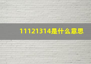 11121314是什么意思