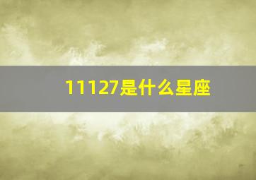 11127是什么星座