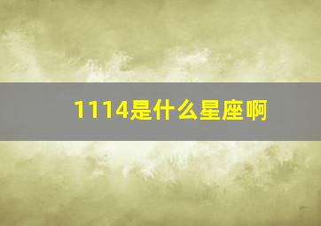 1114是什么星座啊