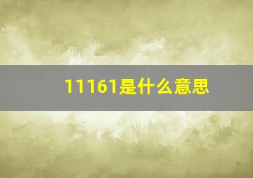 11161是什么意思