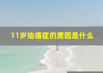 11岁抽搐症的原因是什么