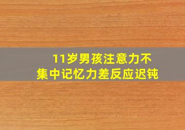 11岁男孩注意力不集中记忆力差反应迟钝