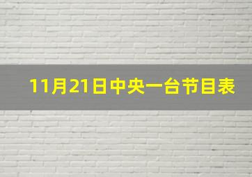 11月21日中央一台节目表