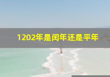 1202年是闰年还是平年