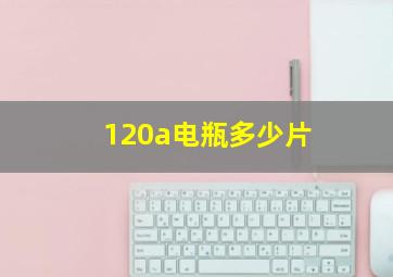 120a电瓶多少片