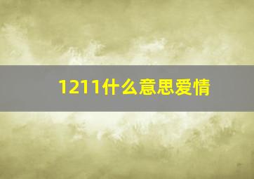 1211什么意思爱情