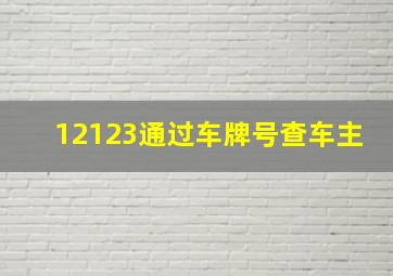 12123通过车牌号查车主