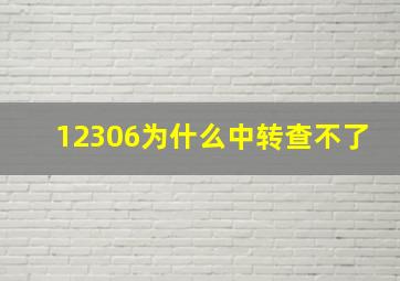 12306为什么中转查不了