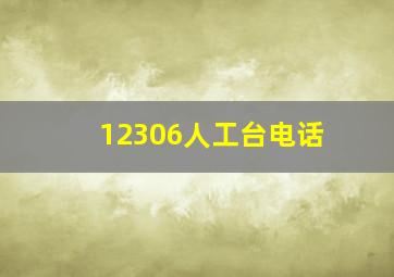 12306人工台电话