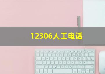 12306人工电话