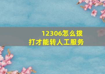 12306怎么拨打才能转人工服务