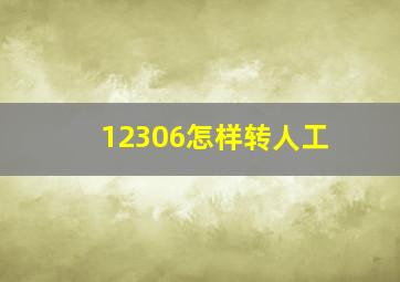 12306怎样转人工