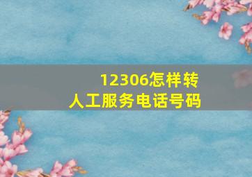 12306怎样转人工服务电话号码