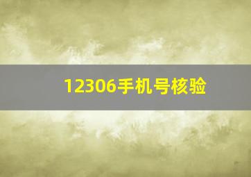 12306手机号核验