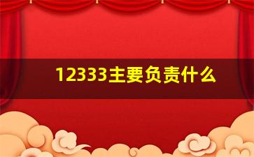 12333主要负责什么