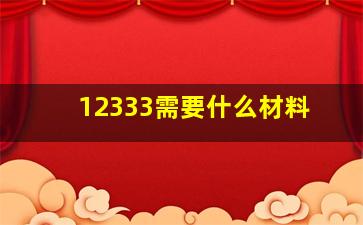 12333需要什么材料