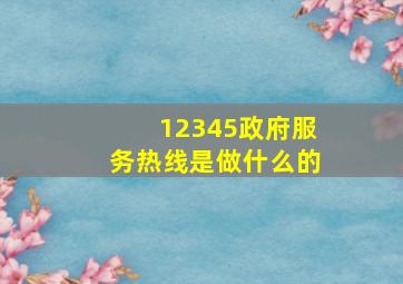 12345政府服务热线是做什么的