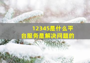 12345是什么平台服务是解决问题的