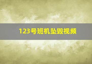 123号班机坠毁视频