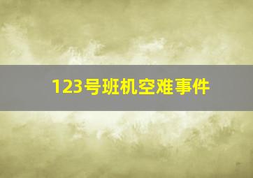 123号班机空难事件