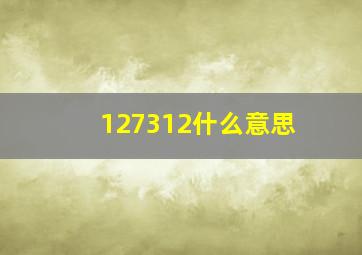 127312什么意思