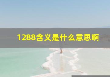 1288含义是什么意思啊