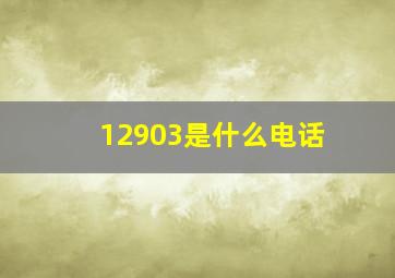 12903是什么电话