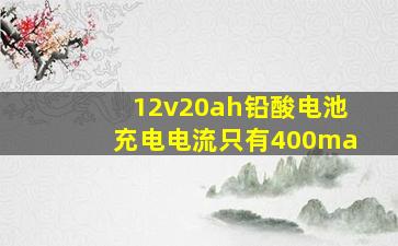 12v20ah铅酸电池充电电流只有400ma