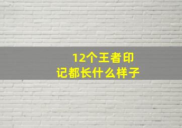 12个王者印记都长什么样子