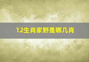 12生肖家野是哪几肖